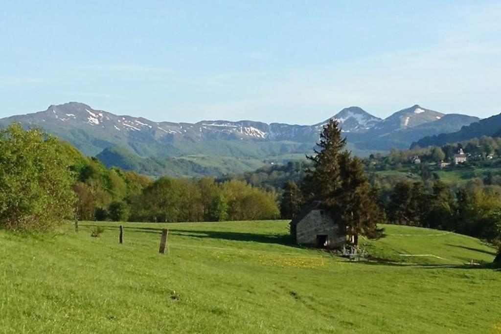 Gite A La Ferme Au Coeur De L'Auvergne Saint-Hippolyte  Exterior photo